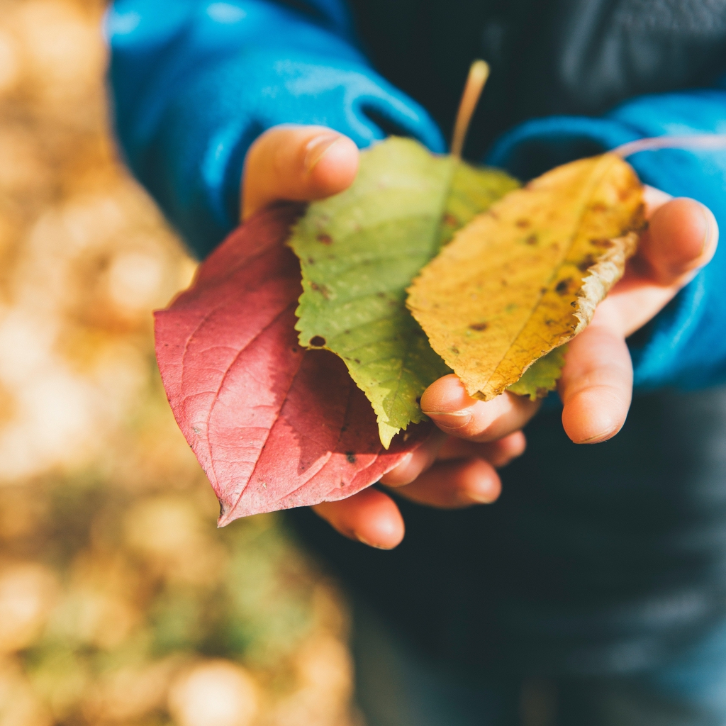markus-spiske-DzgLAZXNFRo-unsplash